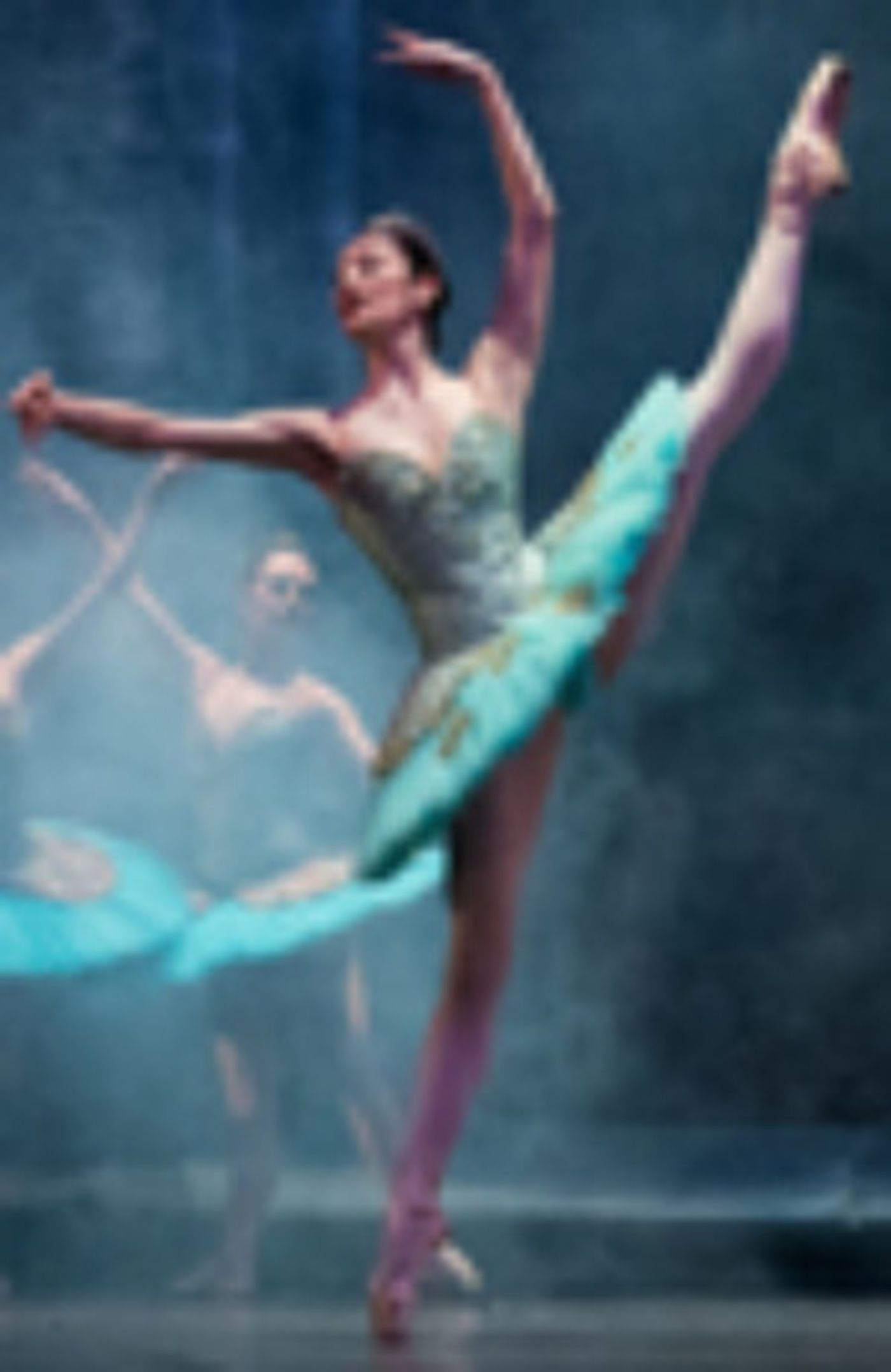 DON QUIXOTE Comes To Istanbul State Opera And Ballet Next Month  Image