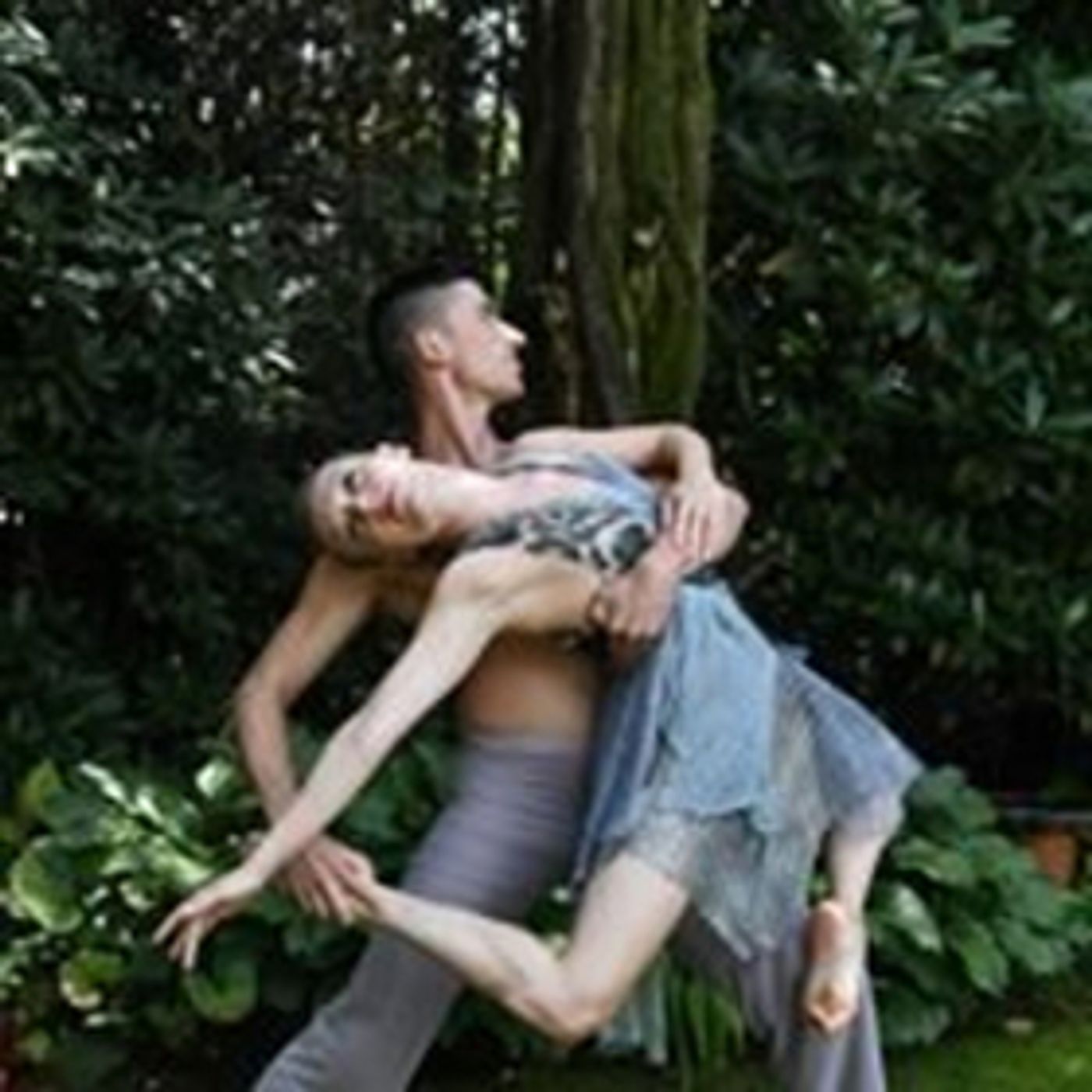 Amanda Selwyn Dance Theatre Performs To A Sold-Out Audience at GREEN AFTERNOON VI Amanda Selwyn Dance Theatre Performs To A Sold-Out Audience at GREEN AFTERNOON VI Image