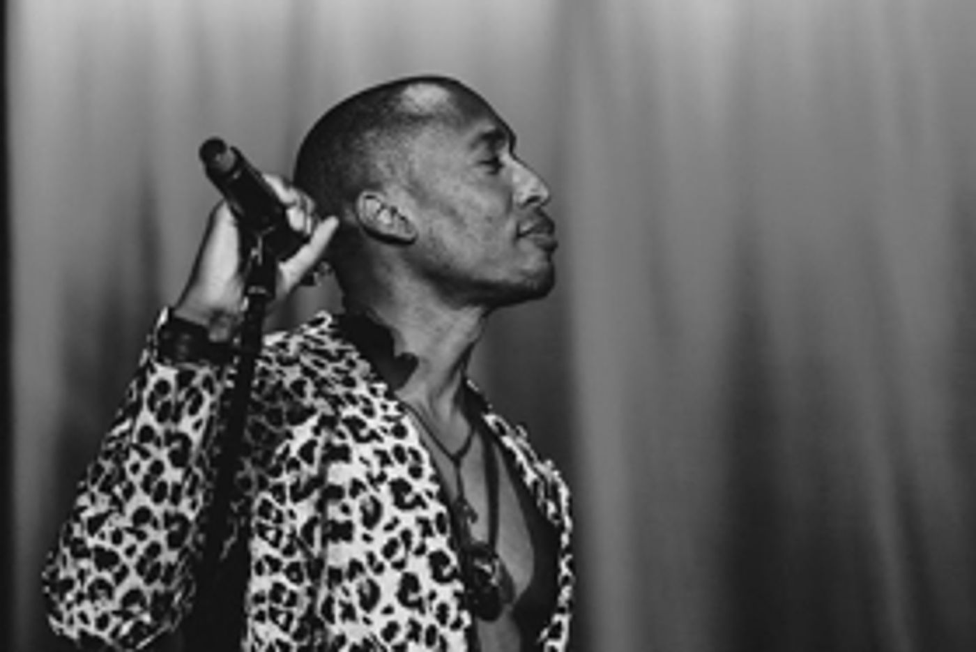 Raphael Saadiq Announces Summer Tour Dates, Pitchfork Festival Performance  Image