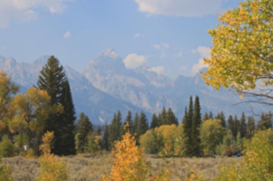 NATIONAL PARK FOUNDATION Partners with Nature Valley Image