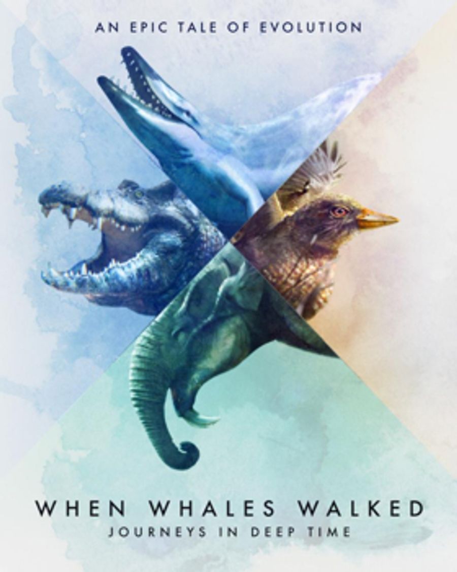 PBS and Smithsonian Channel Present WHEN WHALES WALKED: JOURNEYS IN DEEP TIME Image