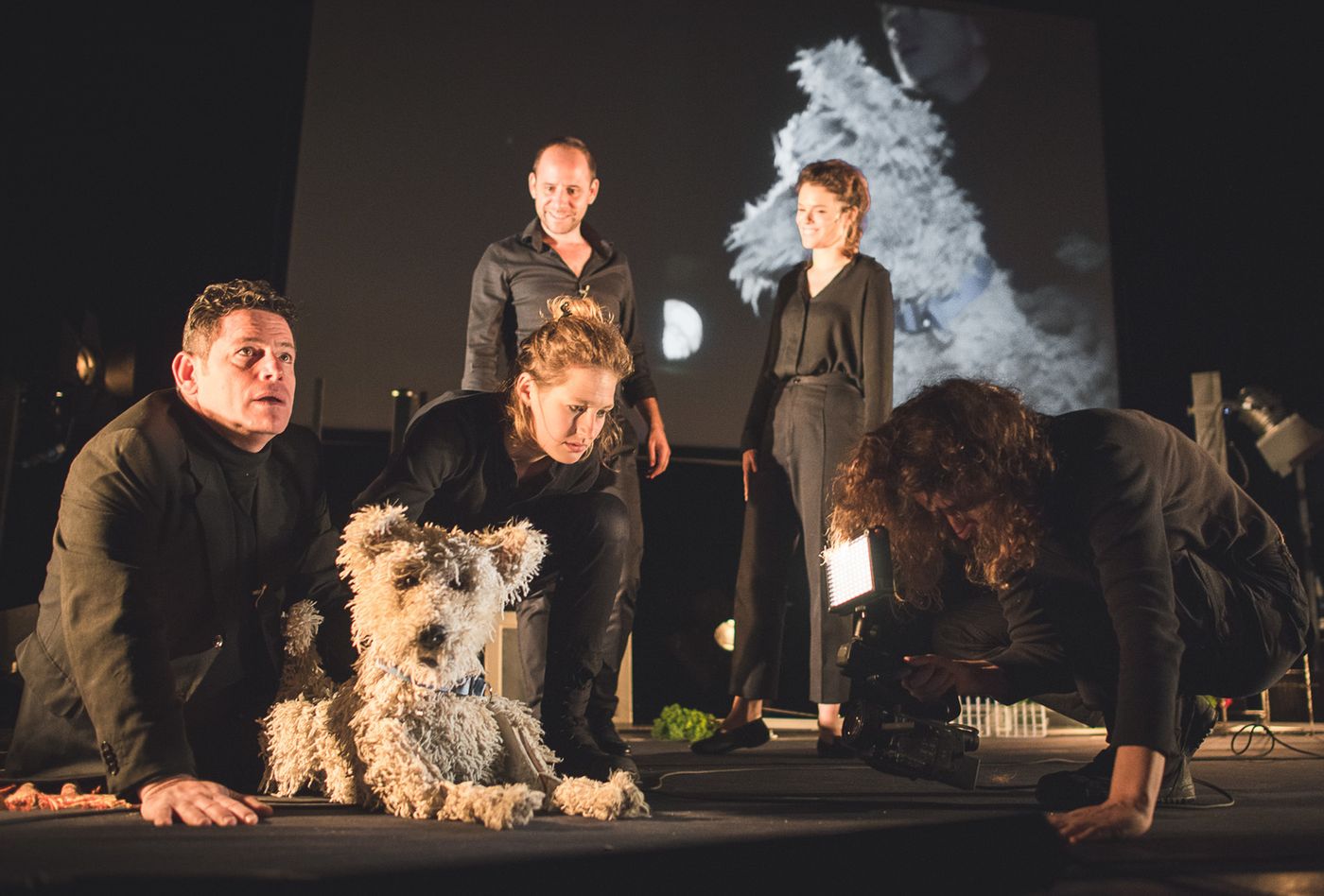 Review: SUDDENLY, A KNOCK ON THE DOOR at Cameri Theatre  Image