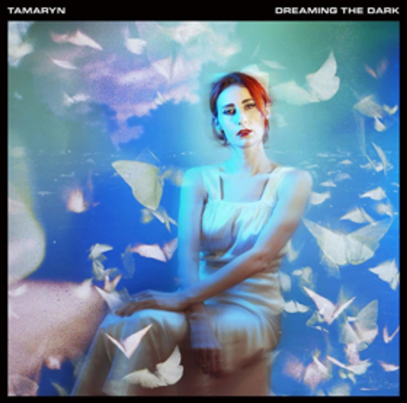 TAMARYN Announces Album 'Dreaming the Dark' and Shares First Single  Image