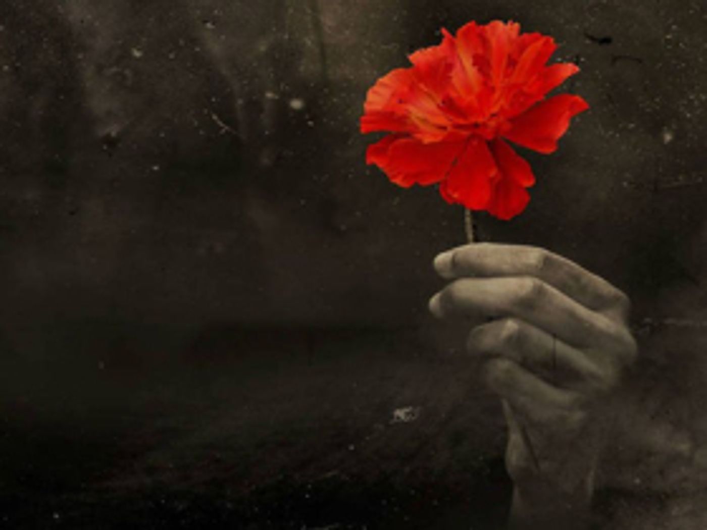 HADESTOWN Leads November's Top 10 New London Shows HADESTOWN Leads November's Top 10 New London Shows Image