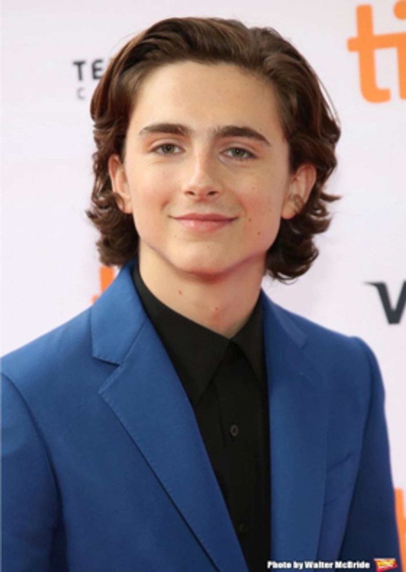Robert Pattinson, Sean Harris, & More Join Timothee Chalamet in Upcoming Netflix Period Drama THE KING  Image