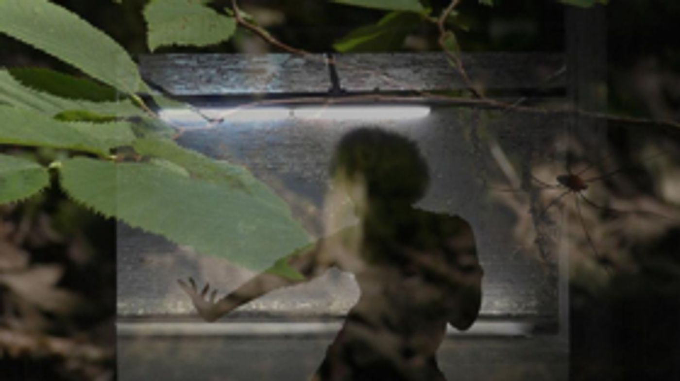 Red Bull Arts Detroit Presents Spring Artist Residency Exhibition  Image