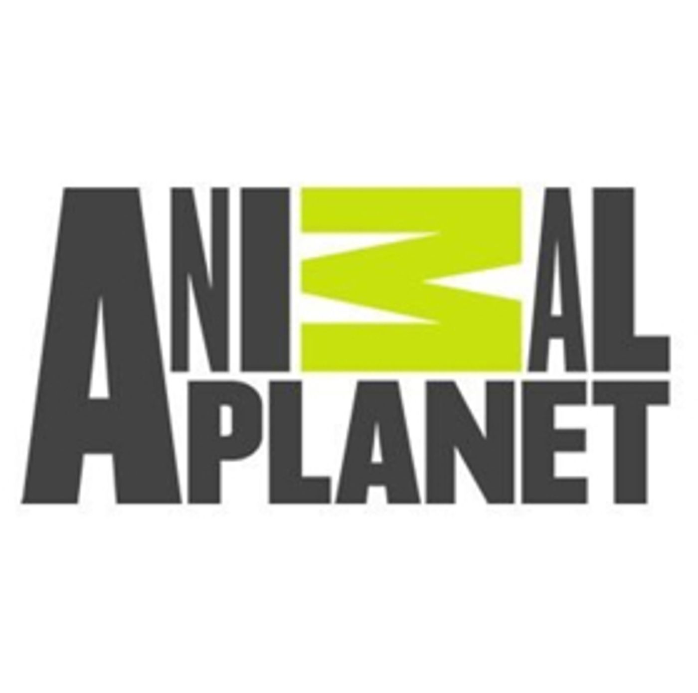 Animal Planet's VET GONE WILD Premieres Sunday, June 10 Animal Planet's VET GONE WILD Premieres Sunday, June 10 Image