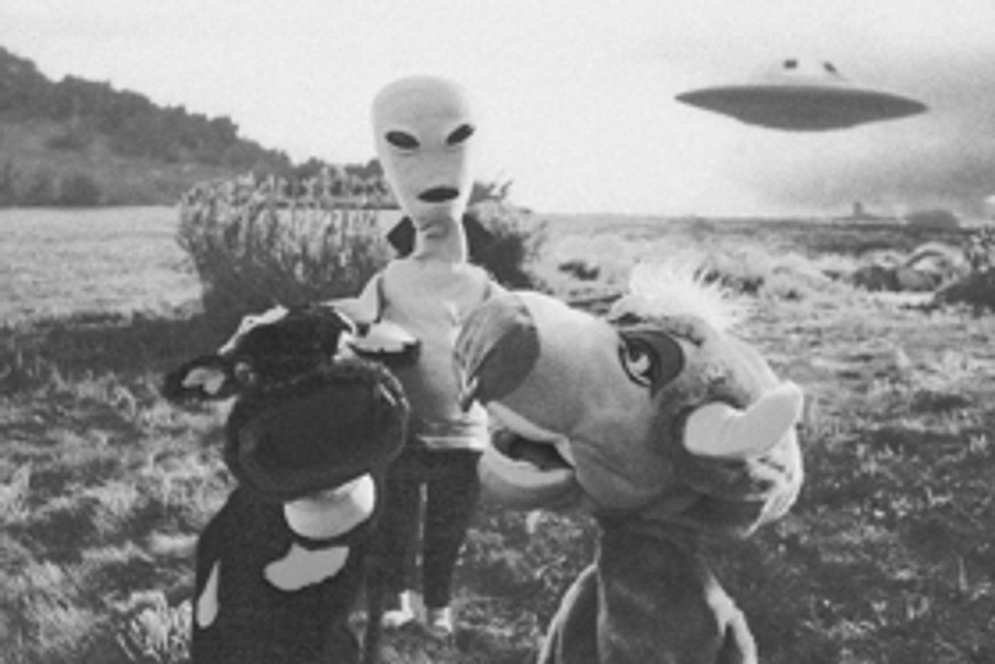 Puppeteers For Fears Returns To Seattle  Image