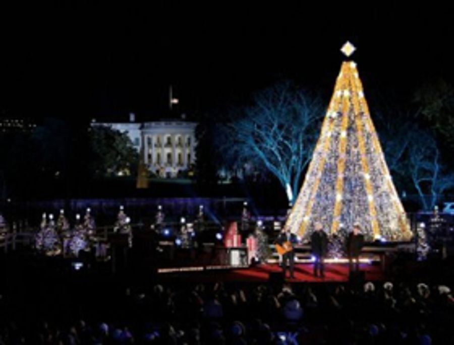 National Christmas Tree to Be Lit in President's Park Today  Image
