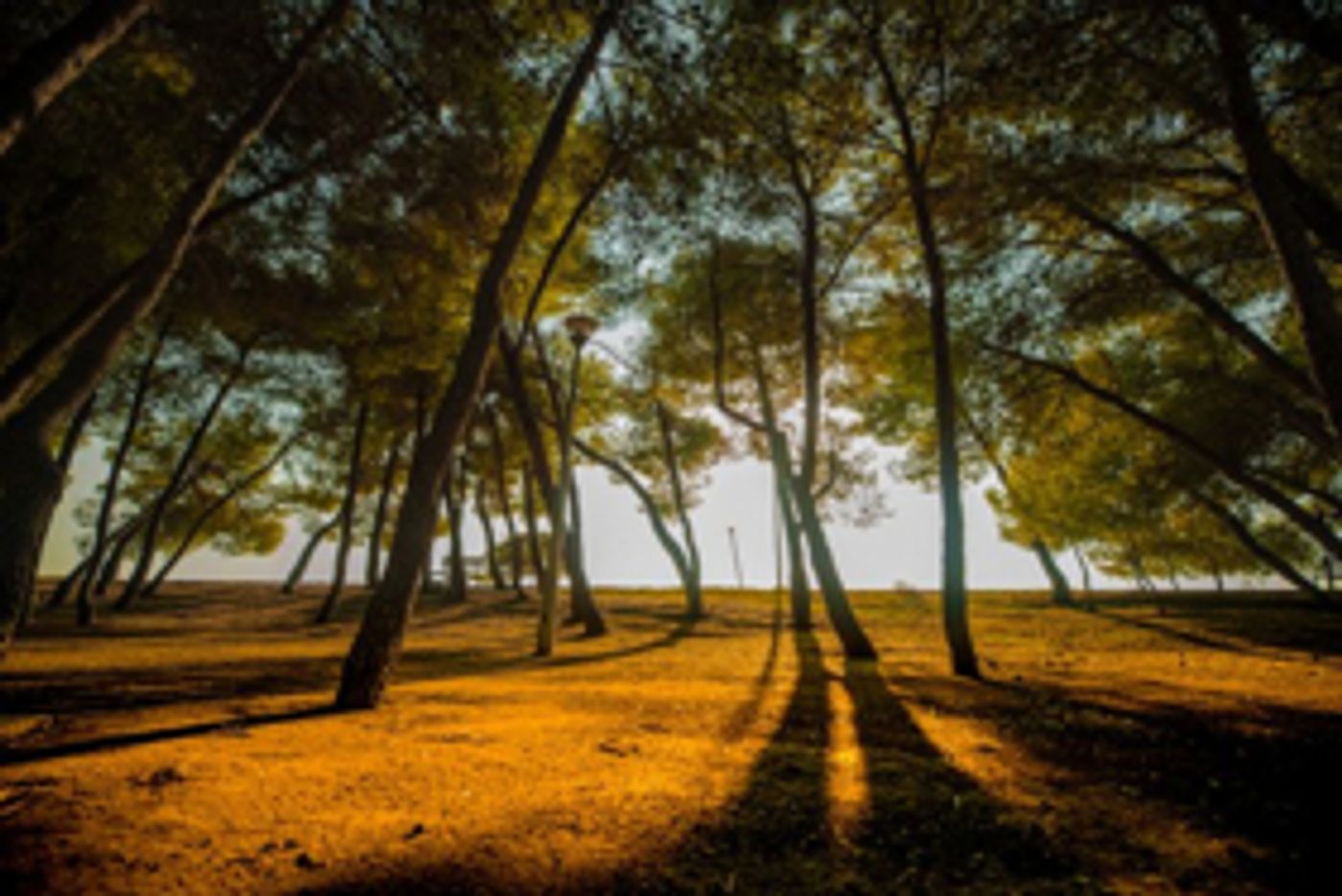 UNUM Festival to Host Ricardo Villalobos, Margaret Dygas, Sonja Moonear, Petre Inspirescu UNUM Festival to Host Ricardo Villalobos, Margaret Dygas, Sonja Moonear, Petre Inspirescu Image