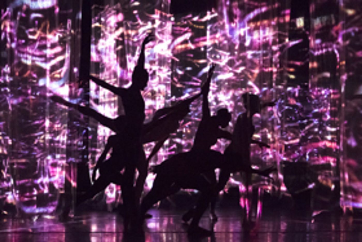 Review: Troy Schumacher's TRANSLATION at Skirball Hall, October 27, 2017  Image