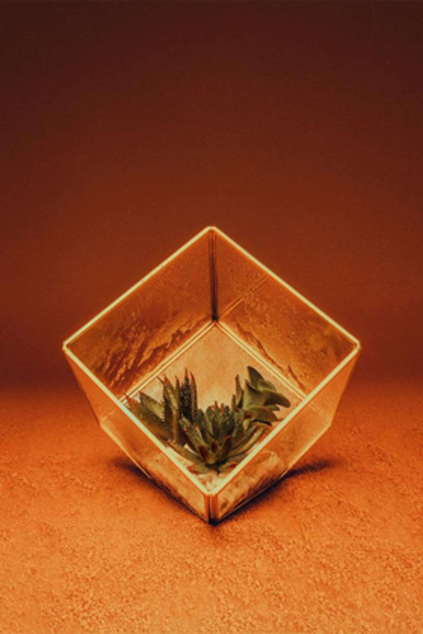 Tron Theatre Company Brings THE MISTRESS CONTRACT to the Stage Tron Theatre Company Brings THE MISTRESS CONTRACT to the Stage Image