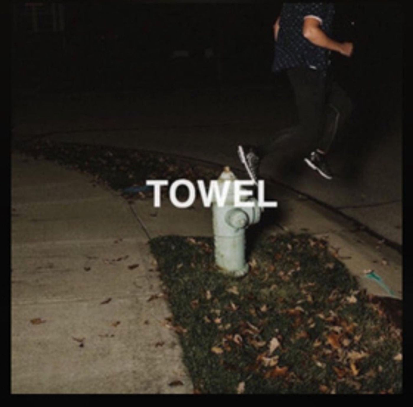 THE WLDLFE Release New Single TOWEL  Image