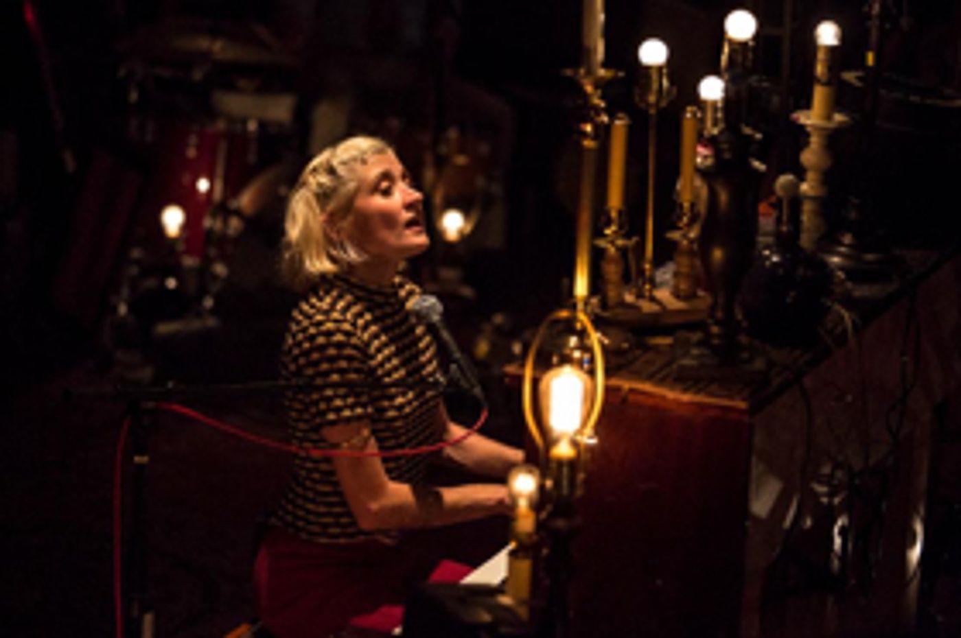 Heather Christian's ANIMAL WISDOM Extends at The Bushwick Starr  Image