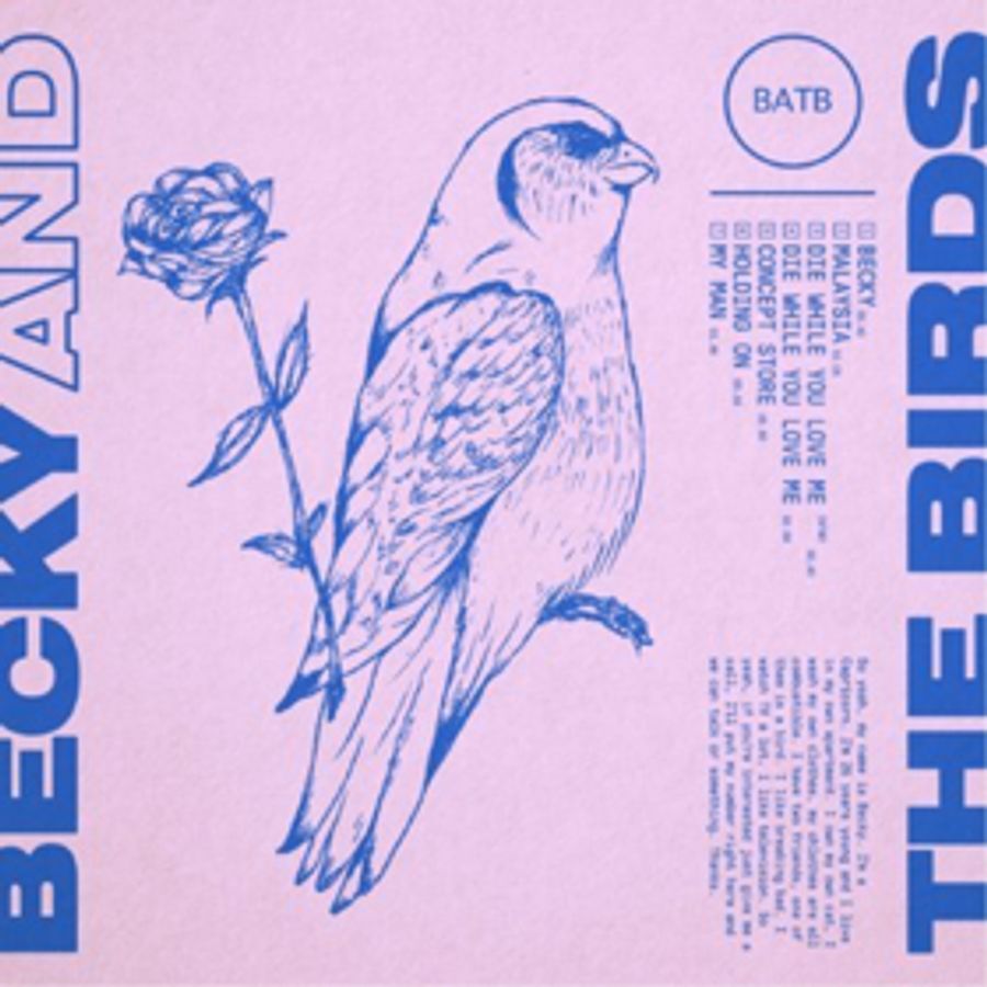 Swedish Singer and Producer Becky and the Birds Releases Debut EP Out Now Image