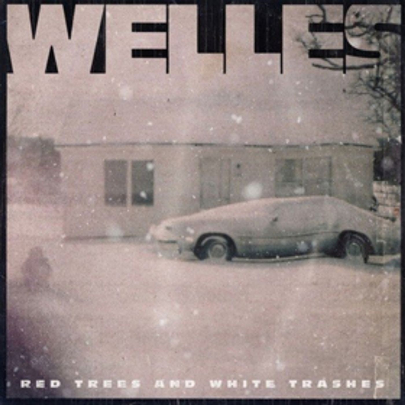 Welles Releases Debut Album, RED TREES AND WHITE TRASHES  Image