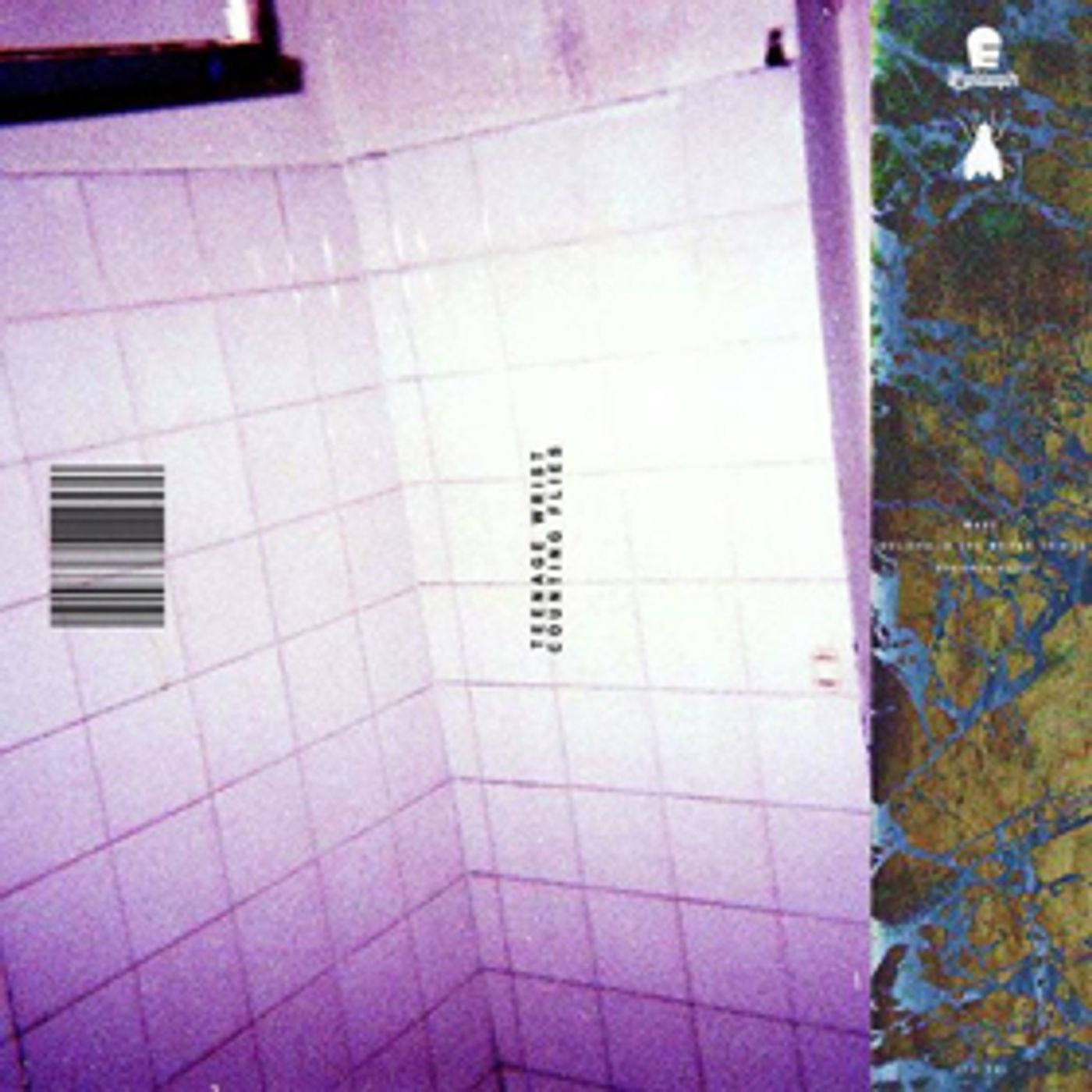 Teenage Wrist Announce 'Counting Flies' EP Teenage Wrist Announce 'Counting Flies' EP Image