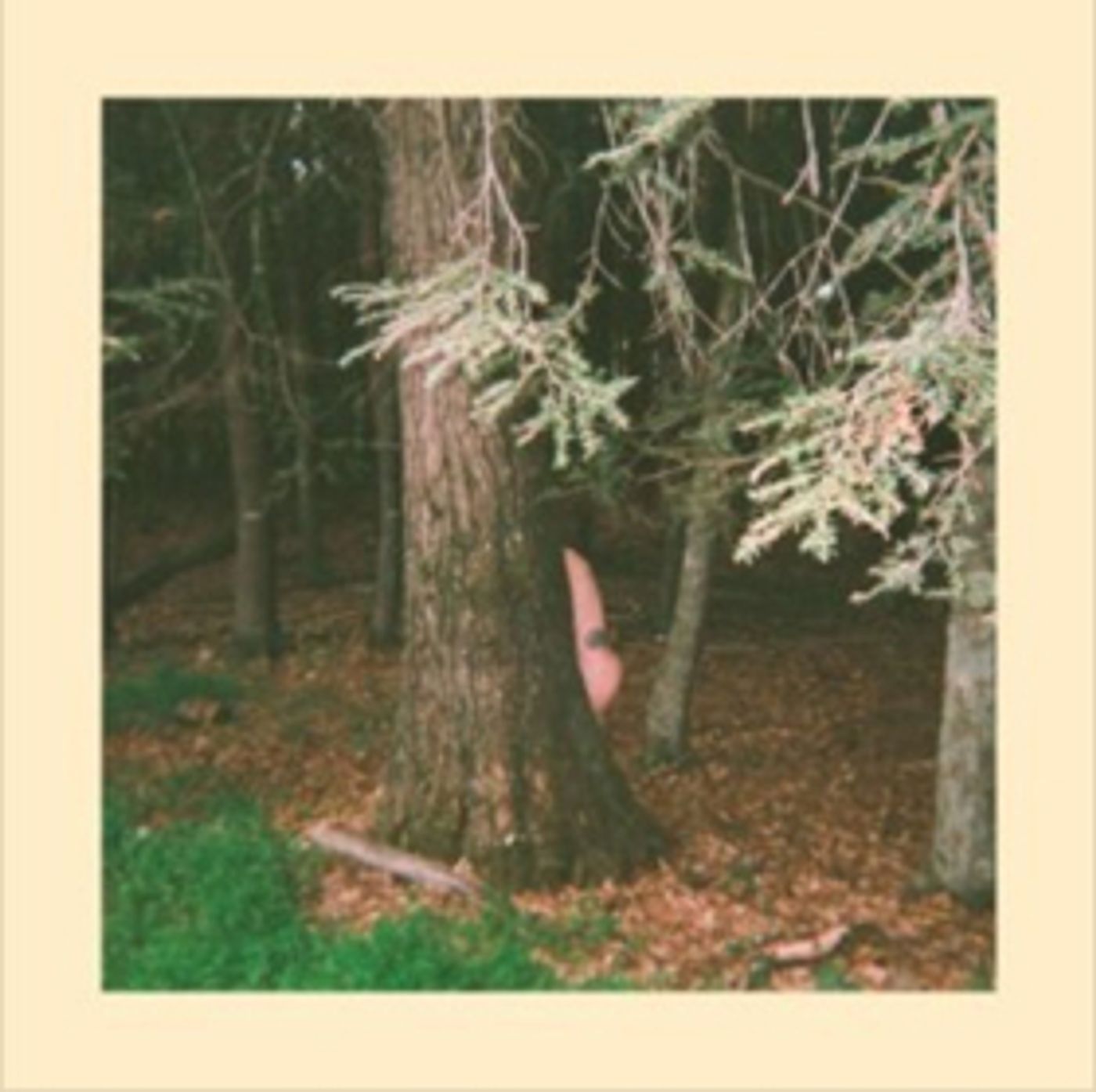 Tesha Teams Up With DOV for Electro-Pop Debut SAVE Tesha Teams Up With DOV for Electro-Pop Debut SAVE Image