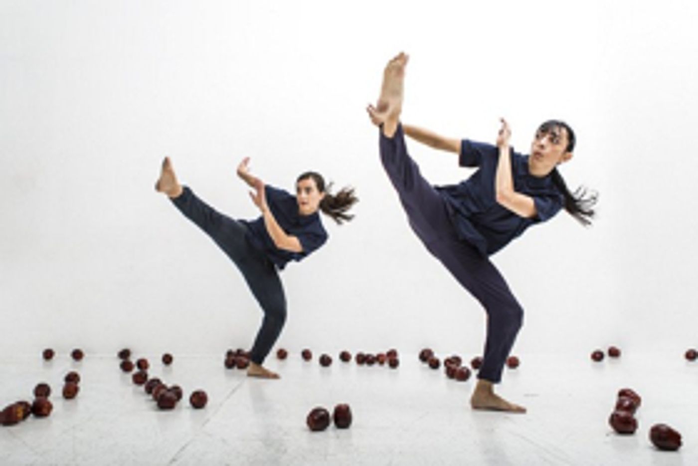 BWW Dance Interview: Stefanie Nelson - Artistic Director BWW Dance Interview: Stefanie Nelson - Artistic Director Image