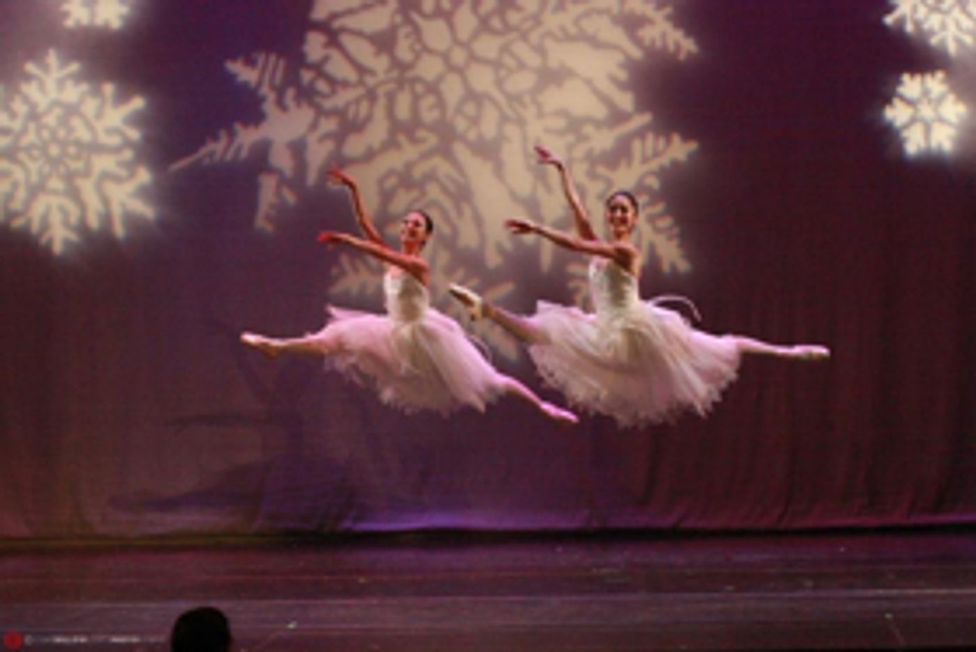 Celebrate The Holidays With Atlantic City Ballet's THE NUTCRACKER  Image