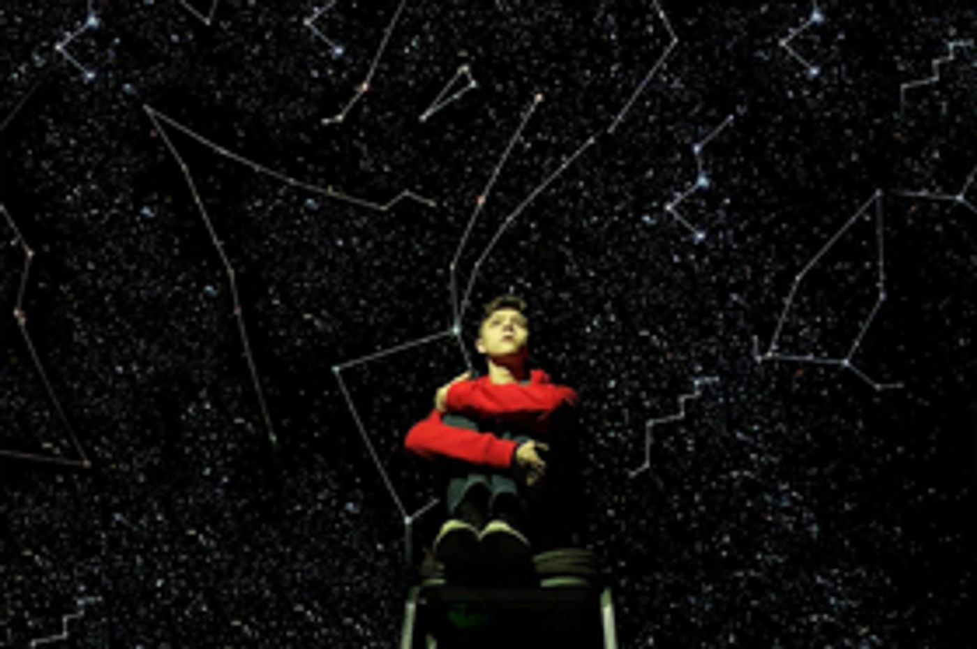 Walnut Theatre Announces THE CURIOUS INCIDENT OF THE DOG IN THE NIGHT-TIME  Image