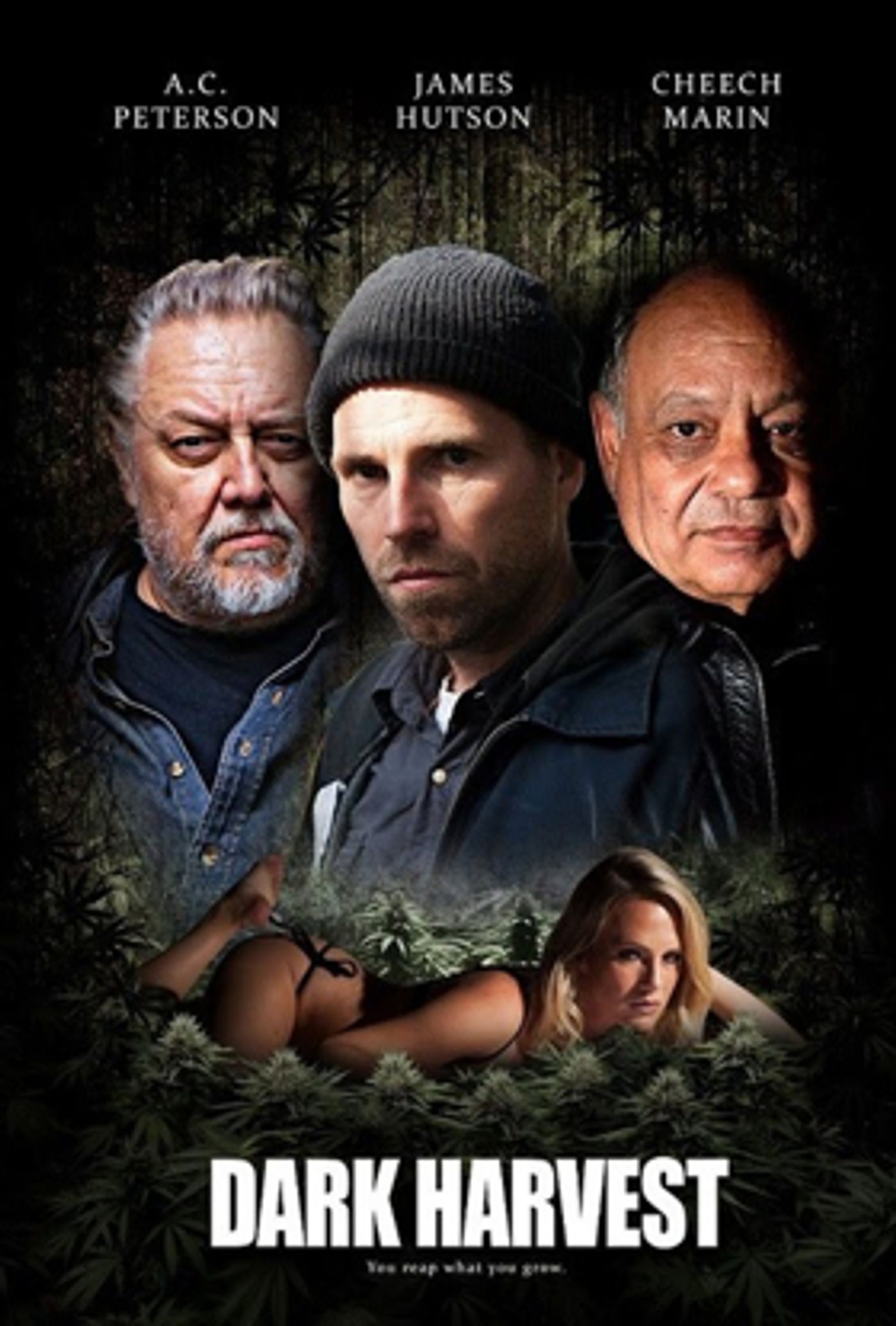 Cheech Marin Returns to Pot Movies in Action Thriller DARK HARVEST  Image