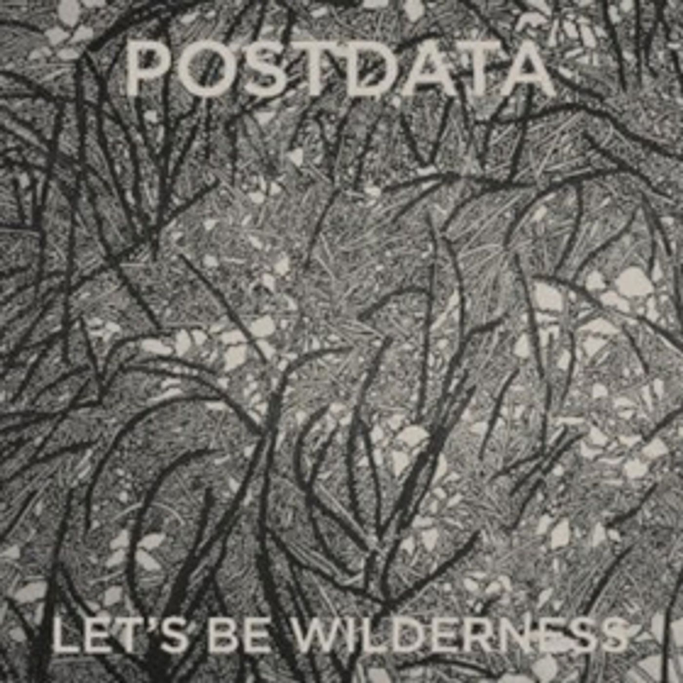 New POSTDATA Album LET'S BE WILDERNESS Premieres via Exclaim!  Image