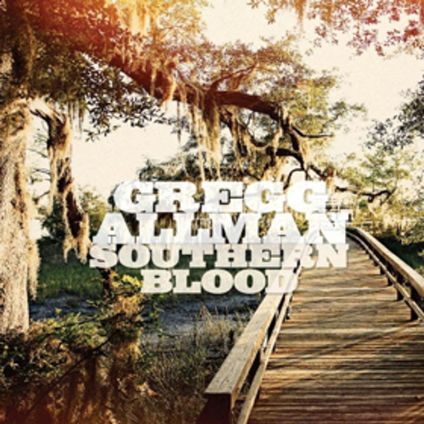 Gregg Allman's 70th Bday Celebrated With New Video Out Now  Image