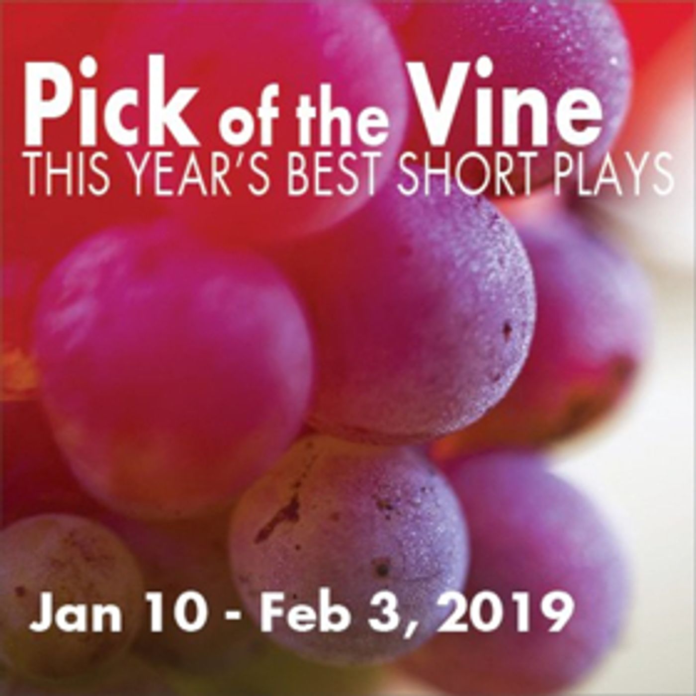 PICK OF THE VINE opens January 10 at Little Fish Theatre  Image