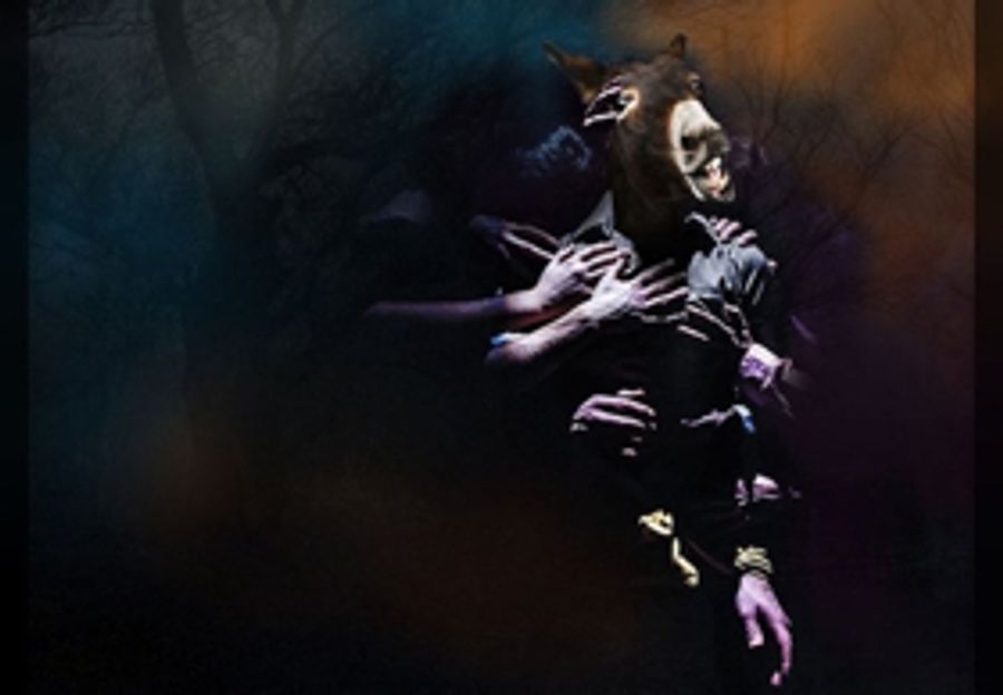 Guest Blog: Director Mark Leipacher On A MIDSUMMER NIGHT'S DREAM Image