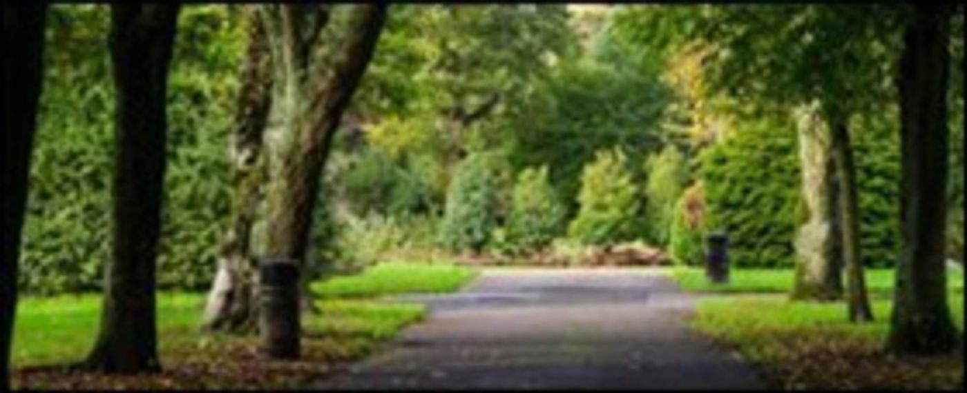 Corcadorca Revisit Fitzgerald's Park for Midsummer Production of THE NUMBERED Corcadorca Revisit Fitzgerald's Park for Midsummer Production of THE NUMBERED Image