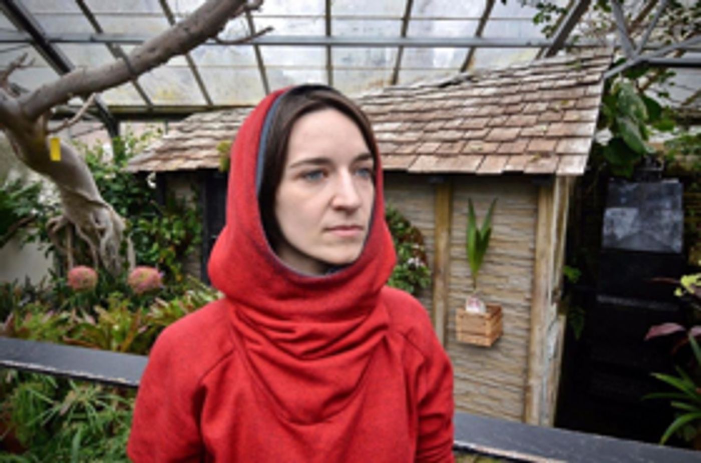 Theatre Francais de Toronto to Present LE DIRE DE DI  Image