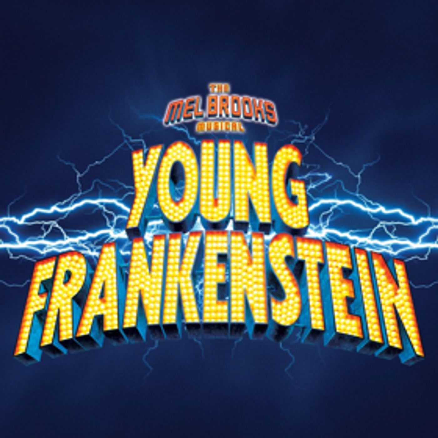 TheatreWorks New Milford Holds Open Casting Call for YOUNG FRANKENSTEIN TheatreWorks New Milford Holds Open Casting Call for YOUNG FRANKENSTEIN Image