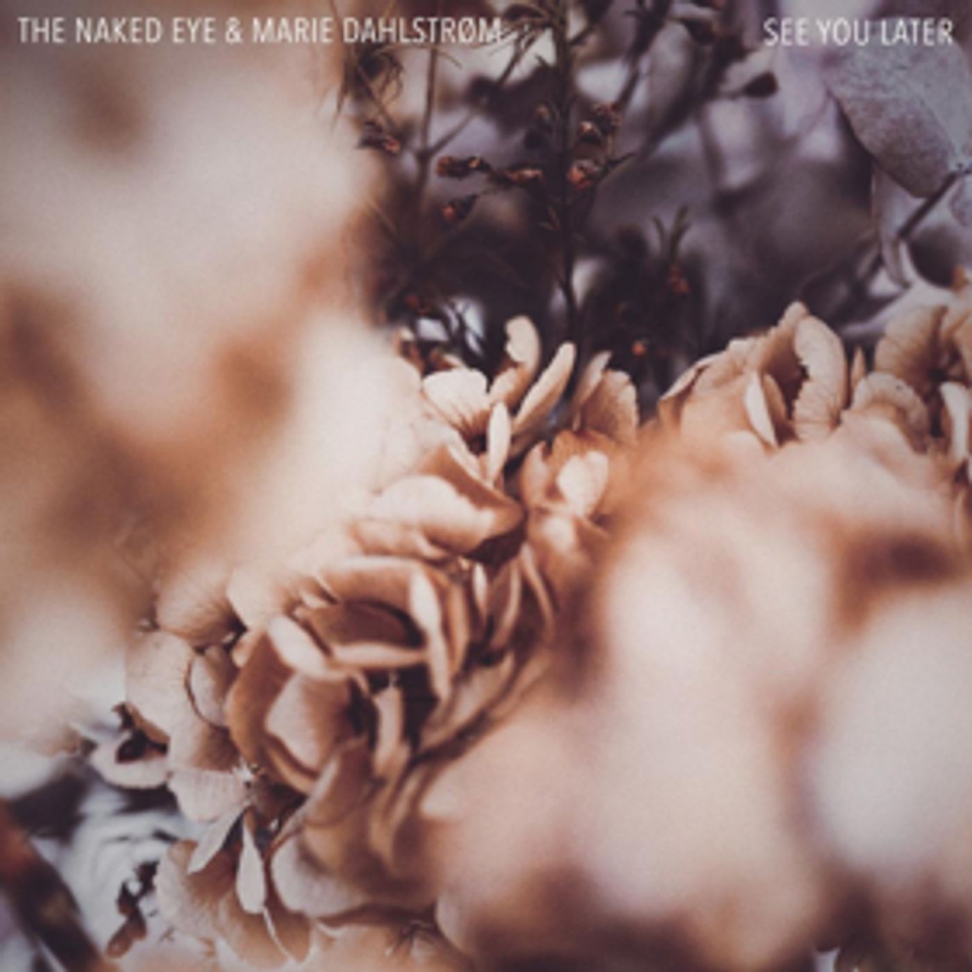 The Naked Eye Teams Up With Marie Dahlstrøm For SEE YOU LATER The Naked Eye Teams Up With Marie Dahlstrøm For SEE YOU LATER Image