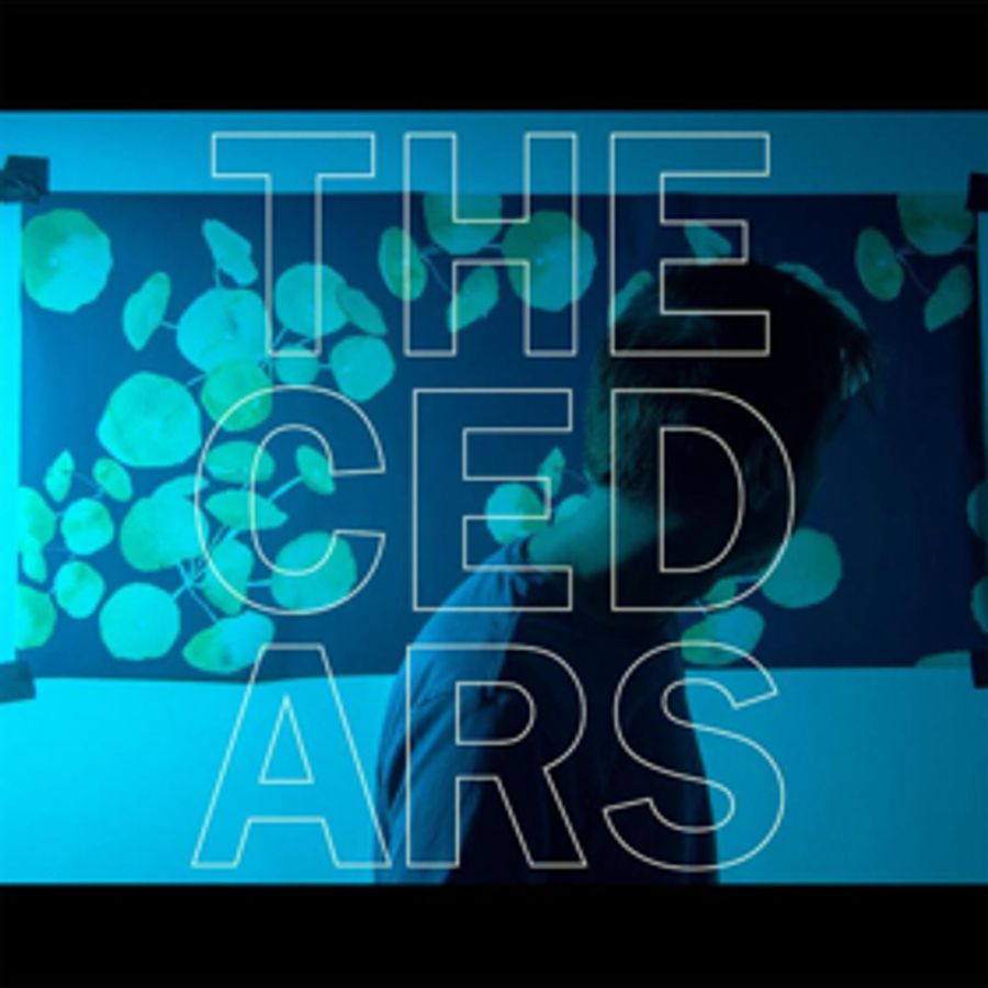 John Vanderslice's THE CEDARS Is Out Today Image