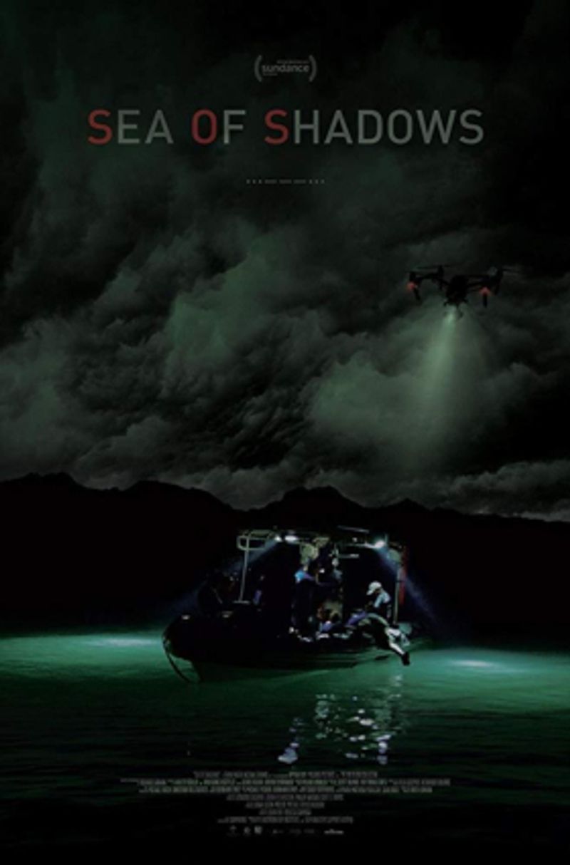 National Geographic Acquires Leonardo DiCaprio's SEA OF SHADOWS Image