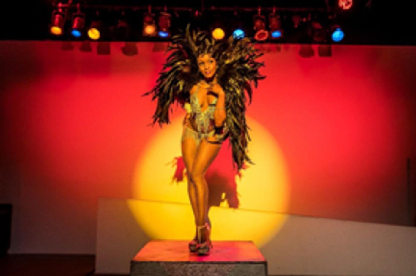 JOSEPHINE to Return to SoHo Playhouse  Image