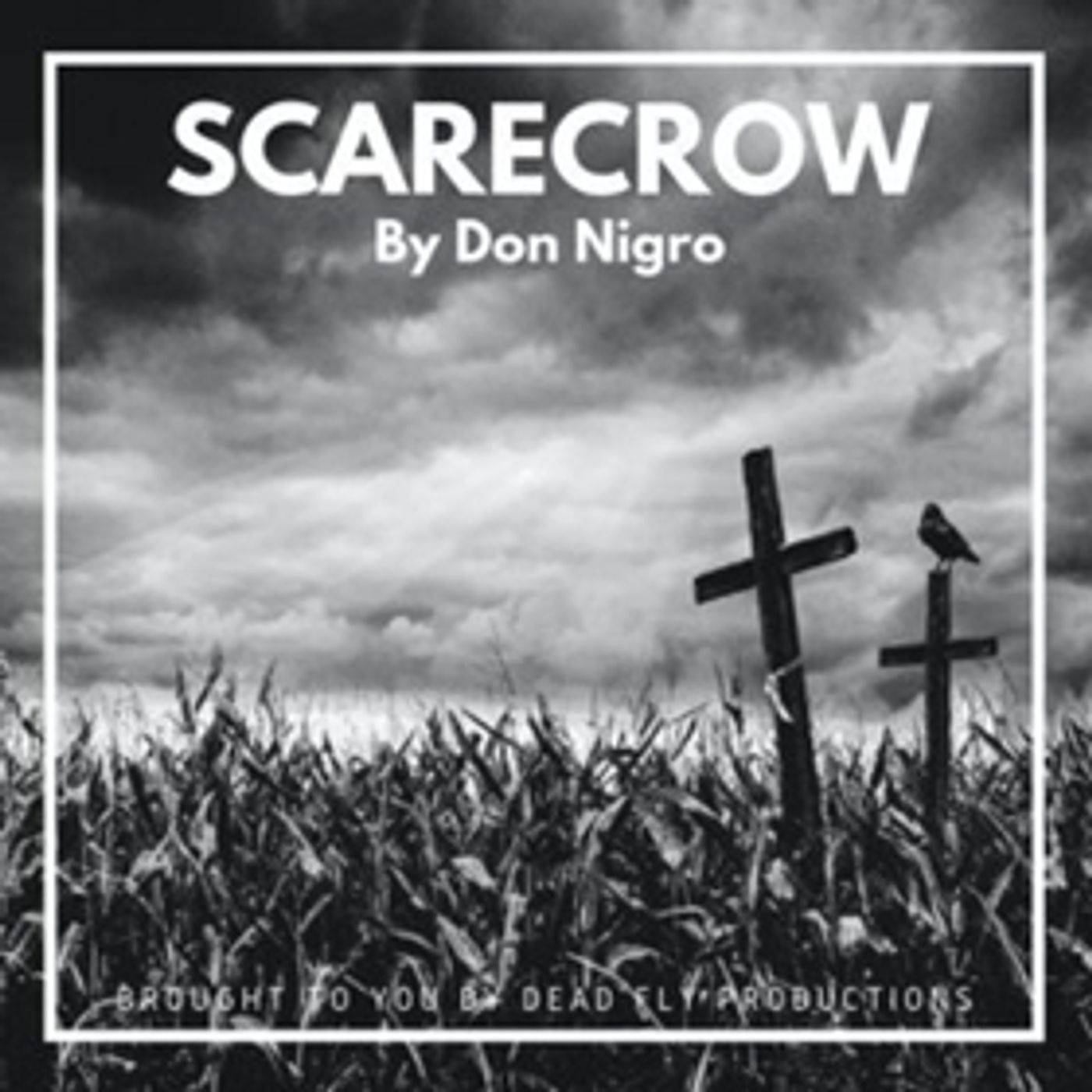 Dead Fly Productions Presents Don Nigro's 'SCARECROW Dead Fly Productions Presents Don Nigro's 'SCARECROW Image