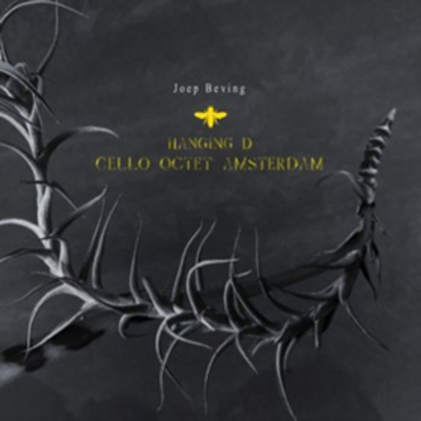 Dutch Pianist Joep Beving's New Single SLEEPING LOTUS - TOM TRAGO Out Now  Image