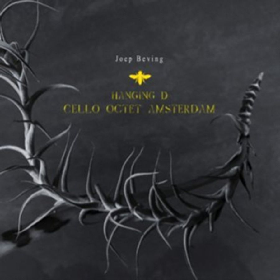 Dutch Pianist Joep Beving's New Single SLEEPING LOTUS - TOM TRAGO Out Now Image