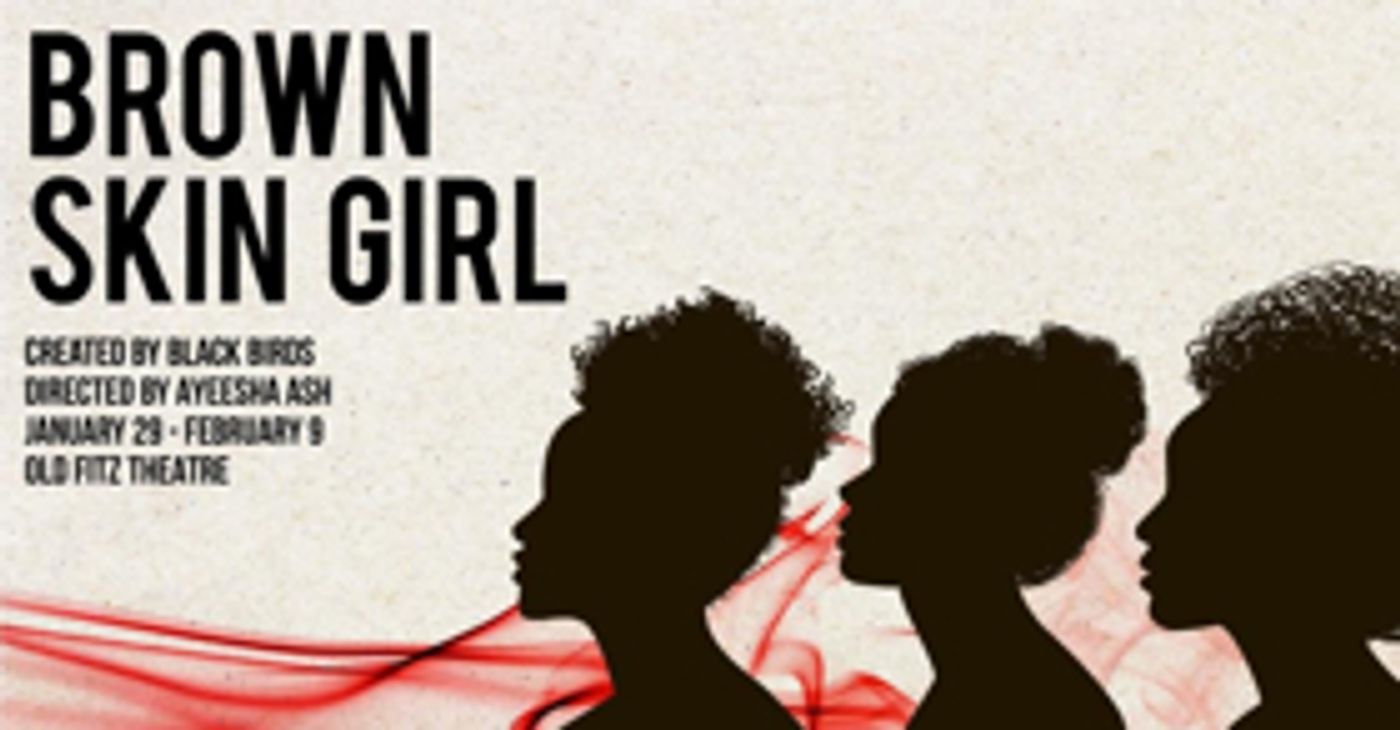 Review: Incredibly Personal and Powerful, BROWN SKIN GIRL Is A Celebration Of Women Of Color As They Strive To Break Down Barriers And Increase Visibility  Image