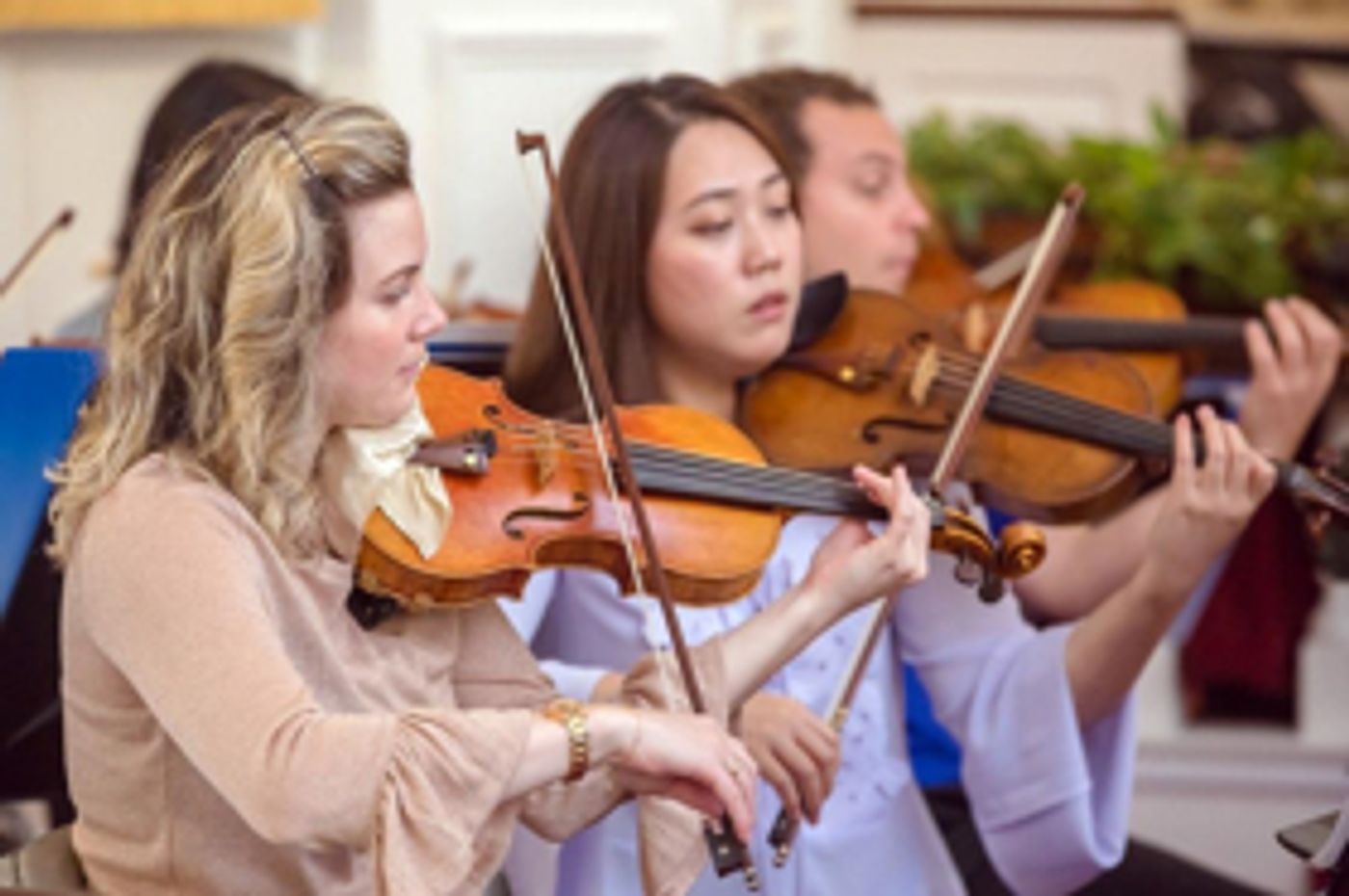 Cape Cod Chamber Orchestra Presents An Afternoon Of Chamber Music Cape Cod Chamber Orchestra Presents An Afternoon Of Chamber Music Image