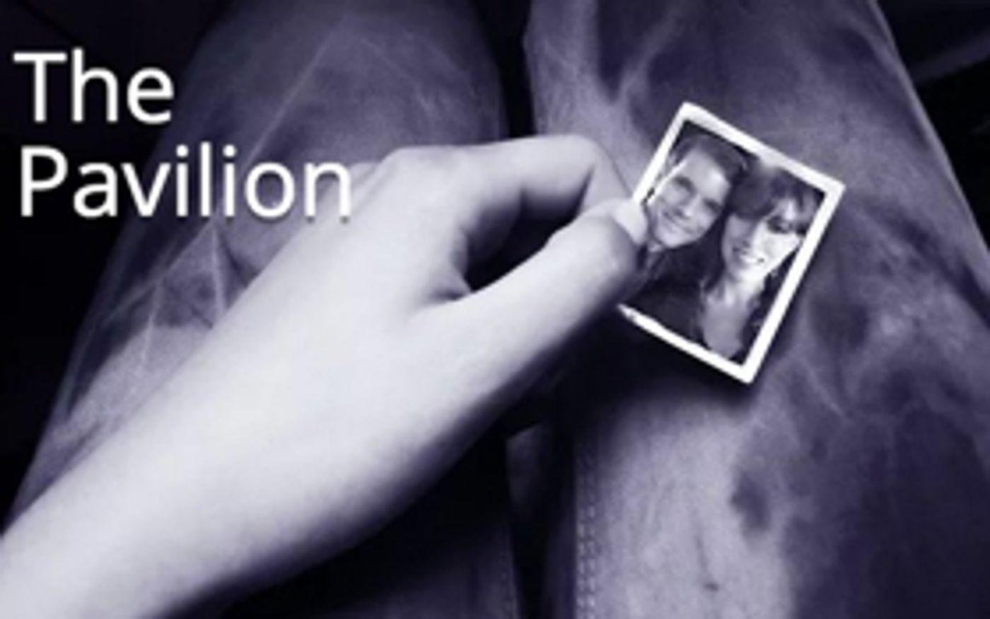 Cast and Creative Announced for Hub's THE PAVILION  Image