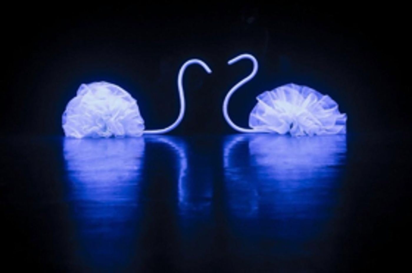 Eisemann Center Presents Mummenschanz in YOU AND ME  Image