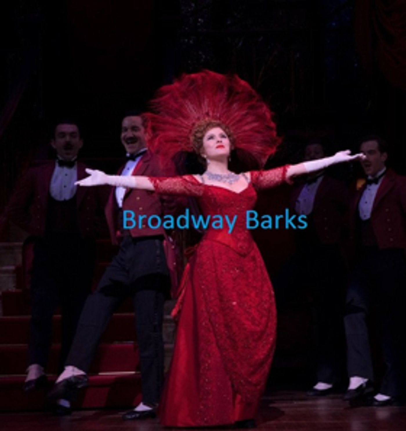 Bid Now on 2 Tickets to HELLO, DOLLY! Plus Bernadette Peters' Show-Worn Merchandise, Attend Broadway Barks and More Bid Now on 2 Tickets to HELLO, DOLLY! Plus Bernadette Peters' Show-Worn Merchandise, Attend Broadway Barks and More Image