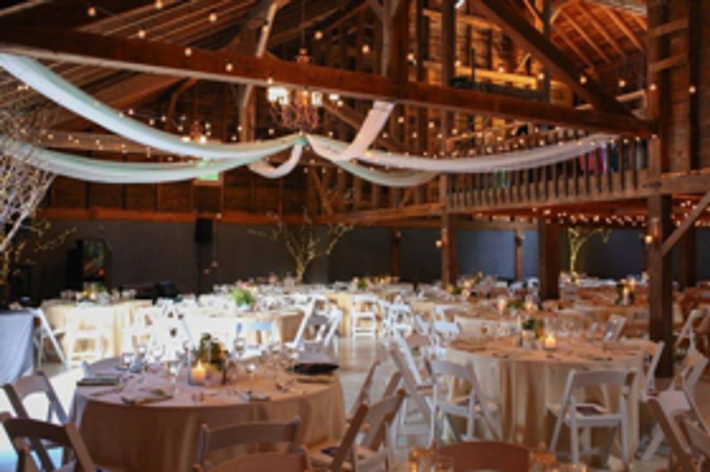 Dorset Theatre Festival Presents 2018 SUMMER STARS CELEBRATION GALA Dorset Theatre Festival Presents 2018 SUMMER STARS CELEBRATION GALA Image