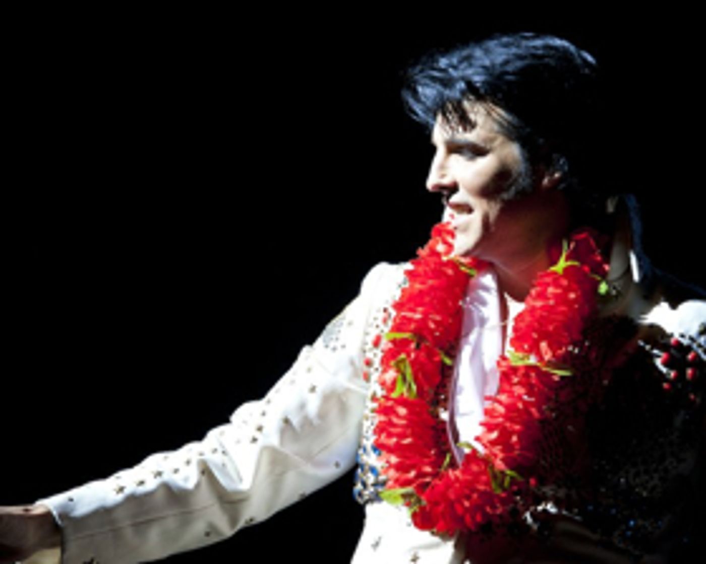 Guest Blog: Steve Michaels On THIS IS ELVIS  Image