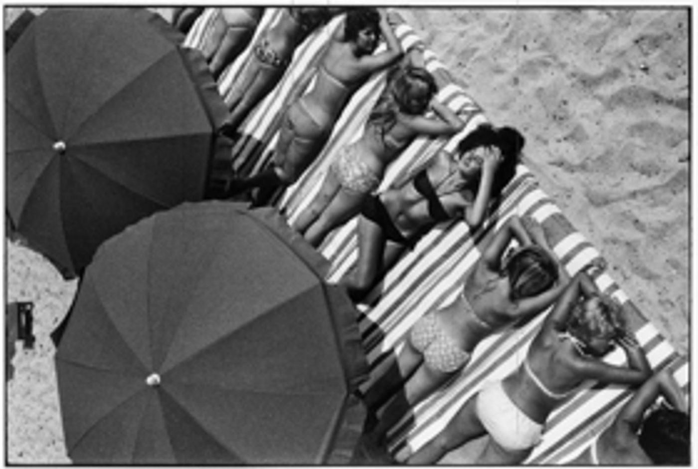 Southampton Arts Center Announces 'ICP Talks' With Photographers  Image