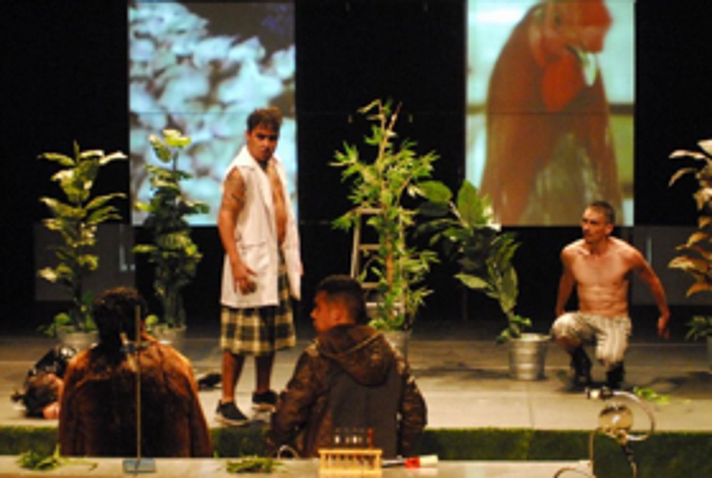 El origen de la vida y sus pasos por el camino de la evolución: Animalia El origen de la vida y sus pasos por el camino de la evolución: Animalia Image