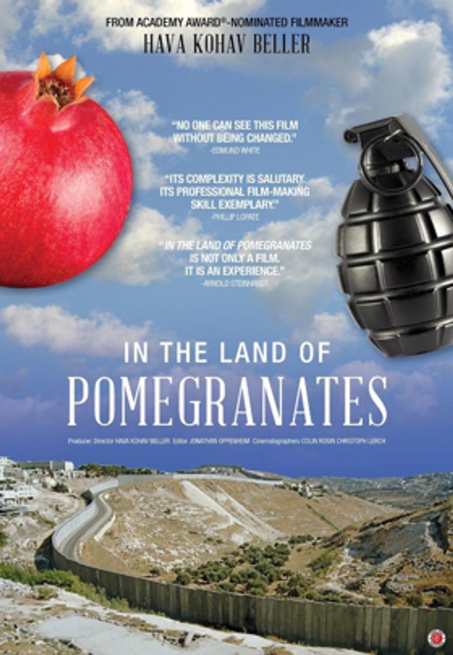 Documentary IN THE LAND OF POMEGRANATES Opens 3/16 in LA with Filmmaker Q&A Image